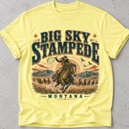 Big Sky Montana T-Shirt
