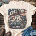 Illinois USA 250 T-Shirt