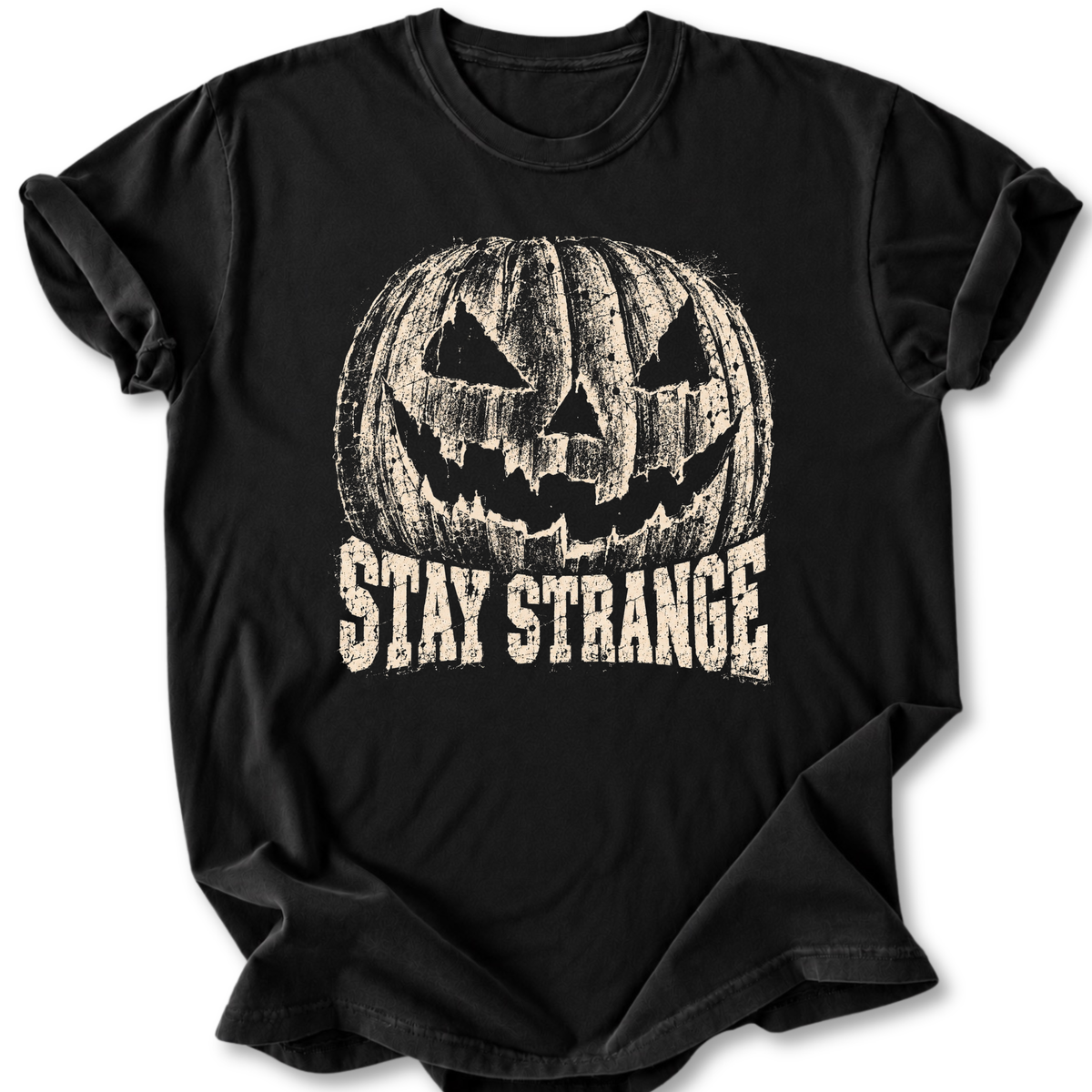 Large Pumpkin T-shirt