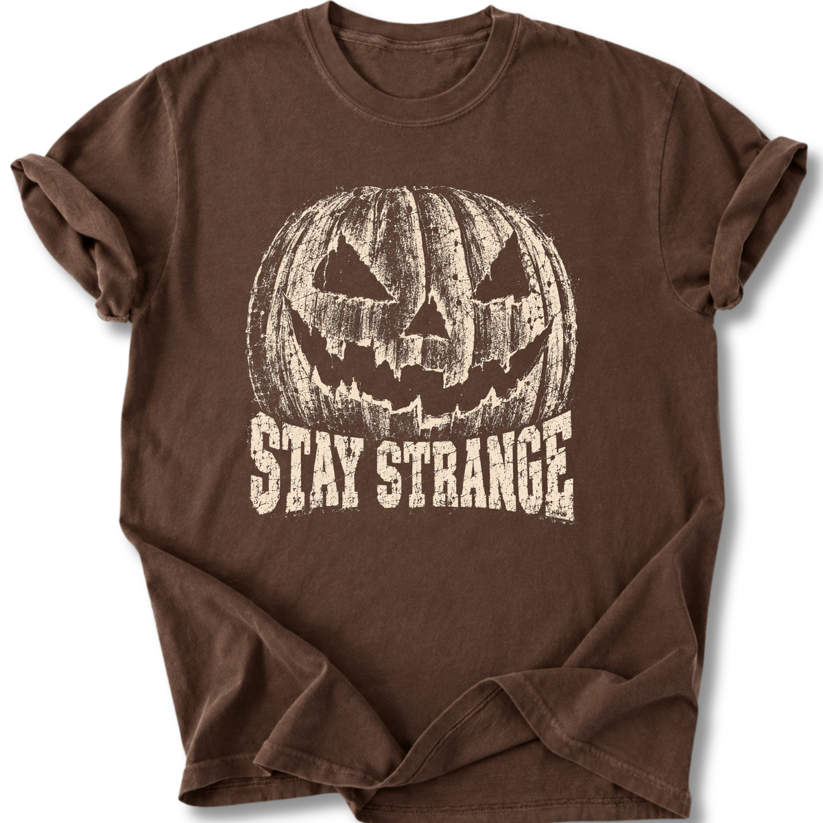 Large Pumpkin T-shirt