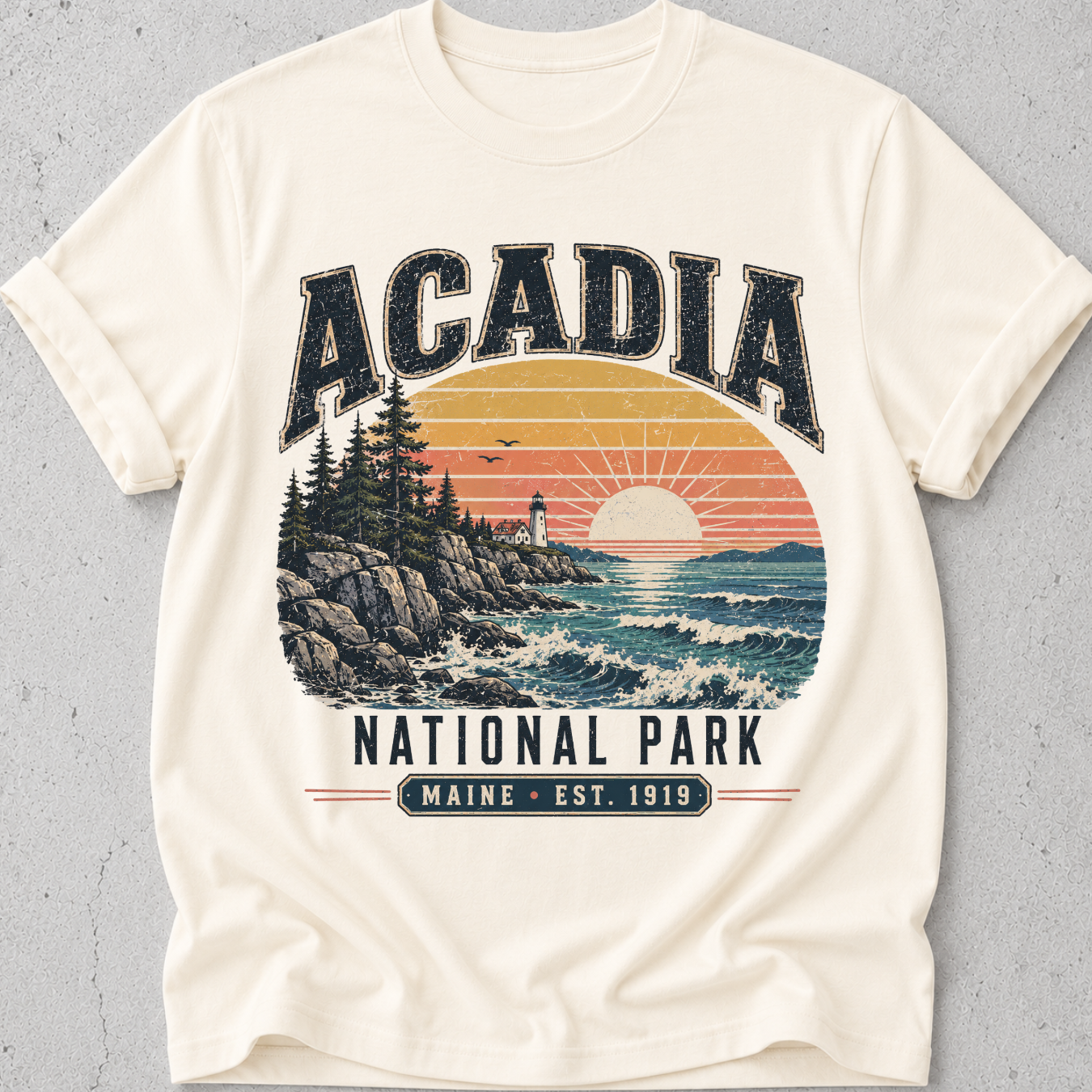 Acadia National Park T-Shirt