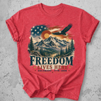 Colorado  250 Anniversary T-Shirt