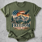 Colorado  250 Anniversary T-Shirt