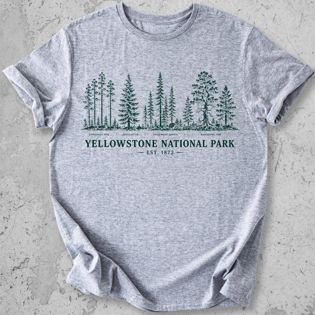 Yellowstone National Park vintage tree species botanical t-shirt in Sports Grey 