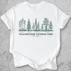Yellowstone National Park vintage tree species botanical t-shirt in  White 