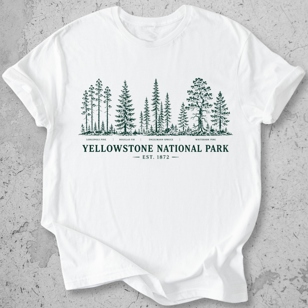 Yellowstone National Park vintage tree species botanical t-shirt in  White 