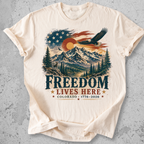 Colorado  250 Anniversary T-Shirt